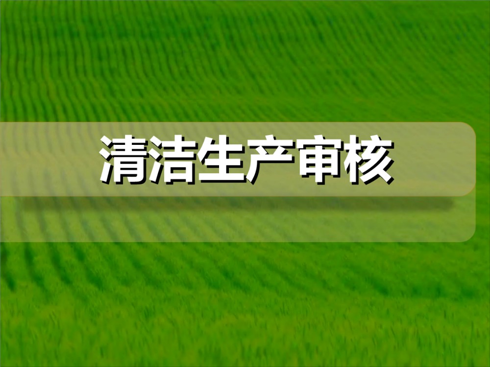 重點清潔生產審核企業公示信息表